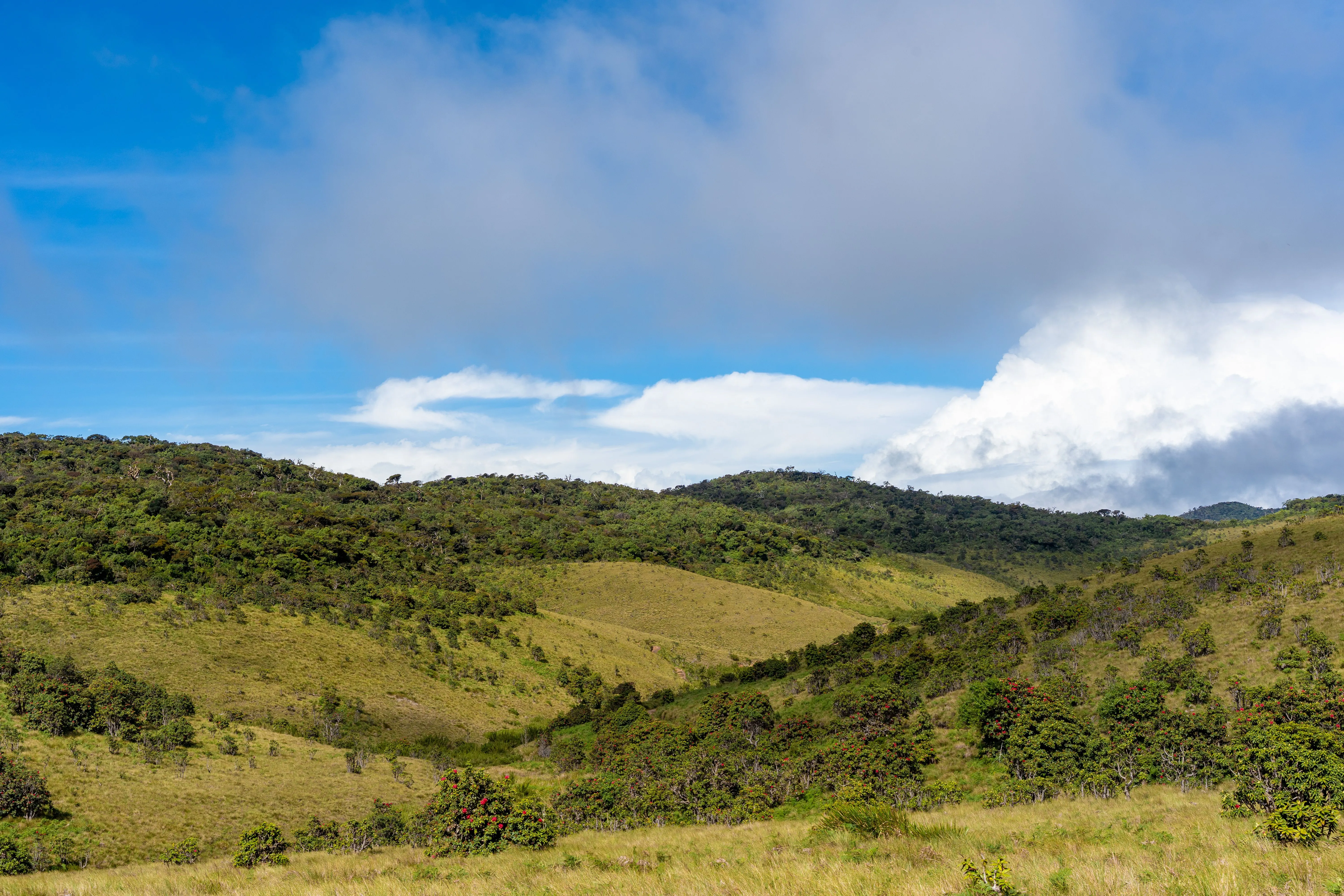 Horton Plains National Park, Sri Lanka